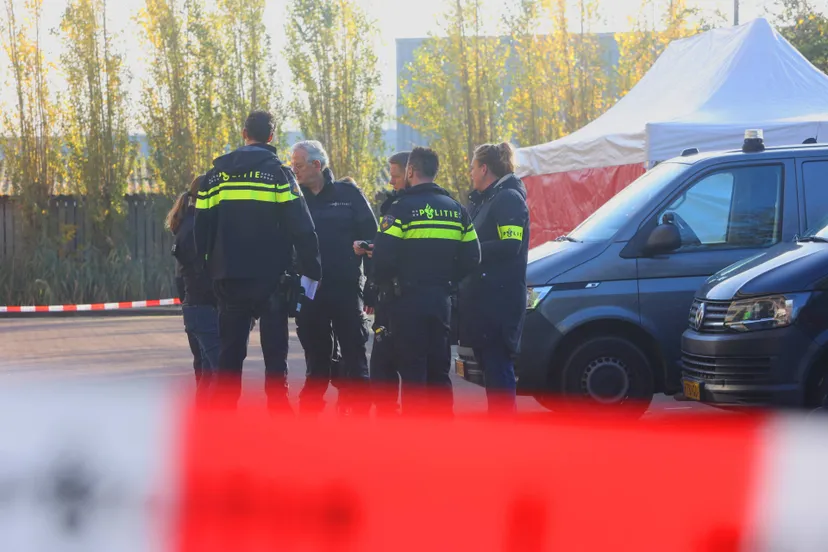 8bad6122-89c4-479d-807d-dd050e7b2eeb