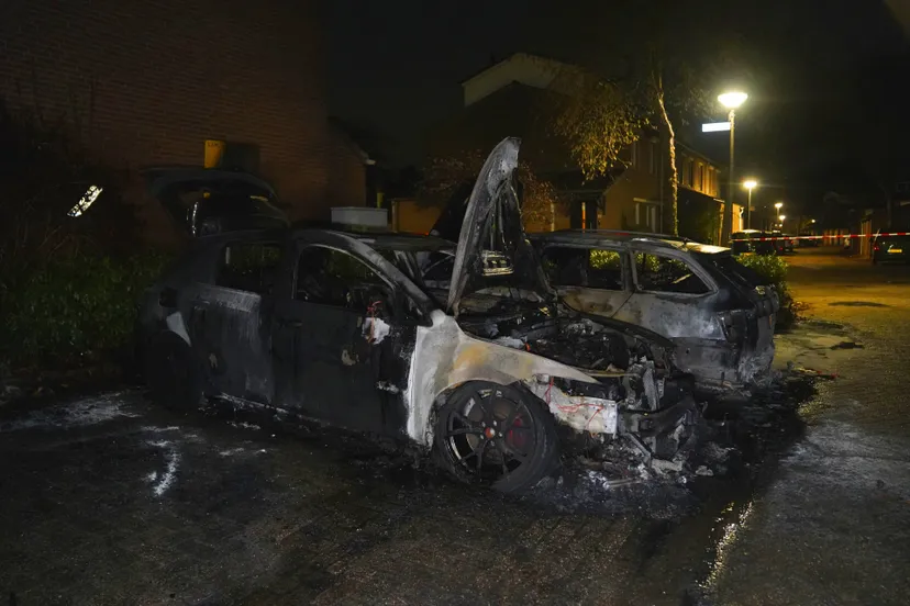 bfe78250-d10b-4a86-97e6-def5864bed56