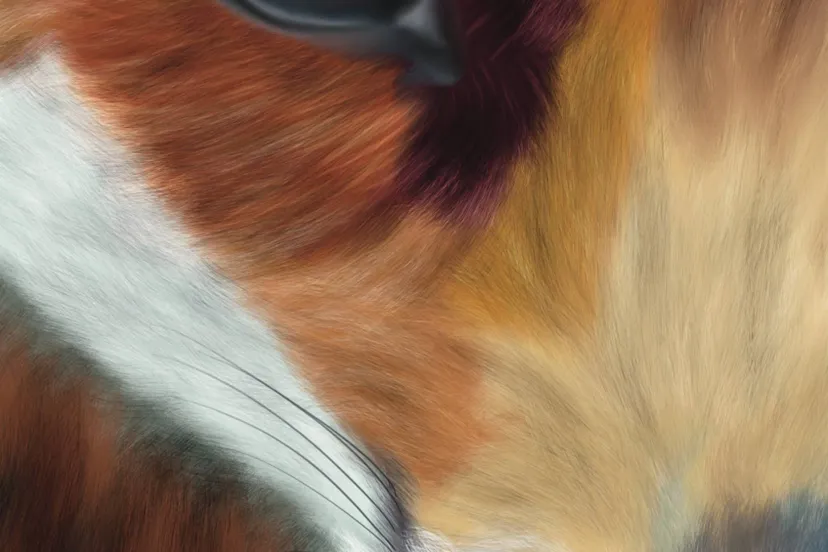 Huis73- Ceciel Maakt - Portret vos