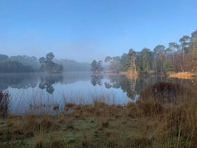 Marine van der Moolen