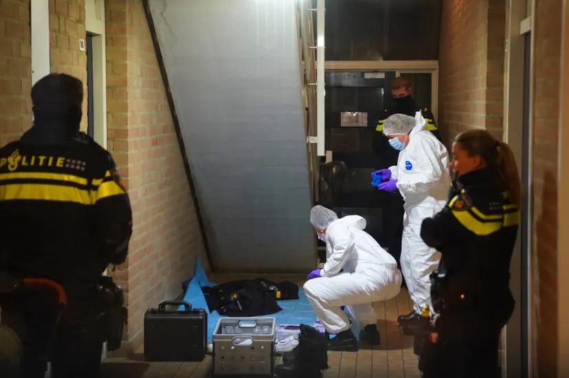 88e186fd-deca-4383-97af-22b28036cea5