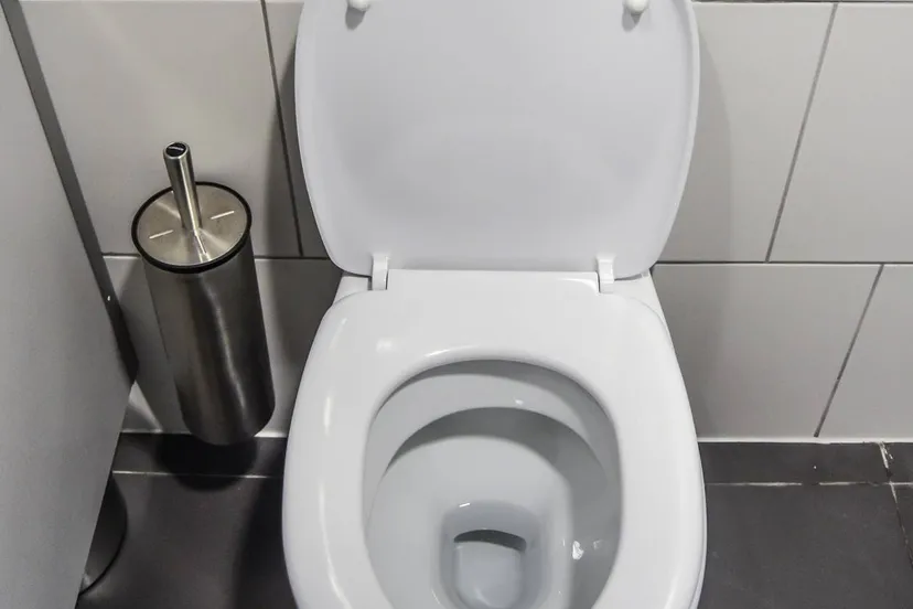 jarmoluk-toilets-265278_1920