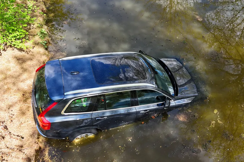 24181efc-f6c0-4586-a476-cfdae5a3d2a2