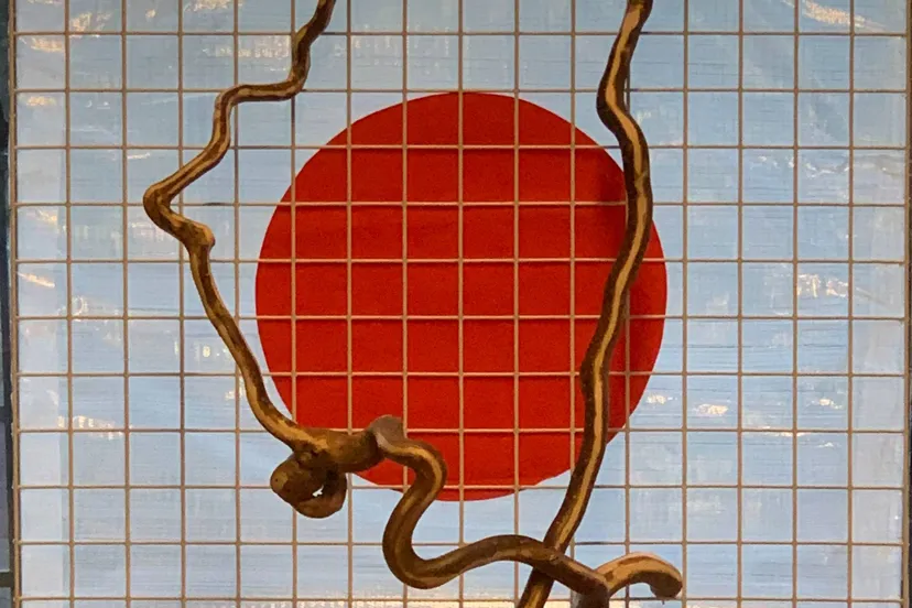 Foto expositie Bert van Leeuwen