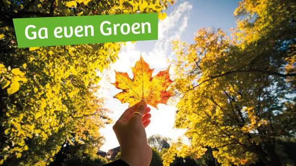 unnamed