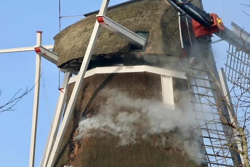 0078d2e5 84f2 4633 9e8b 3bf95efc5772