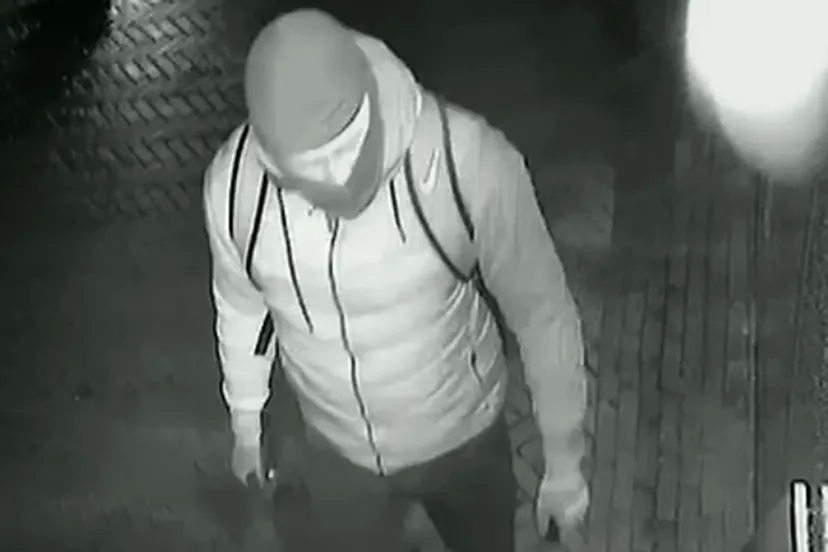 119738 oostnl plof dada e1576015806855