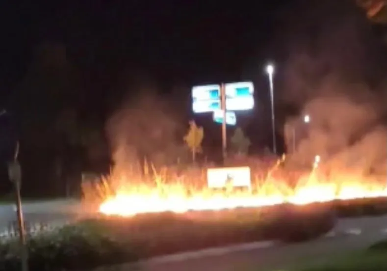 120030657 3340372192712383 7301686163369672964 n