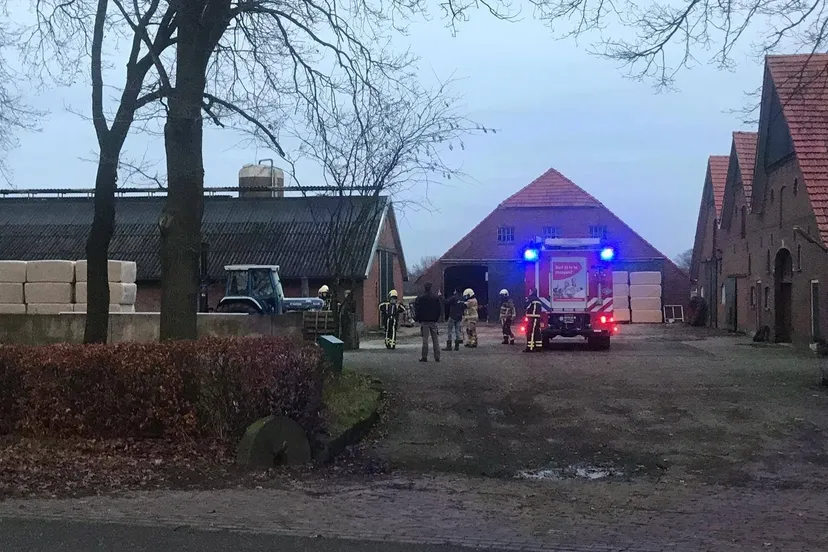 135462312 1605805676270755 1058876942826734713 o