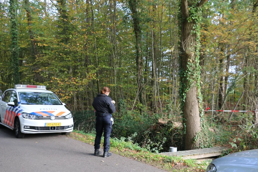 18110074 31603 newsunited