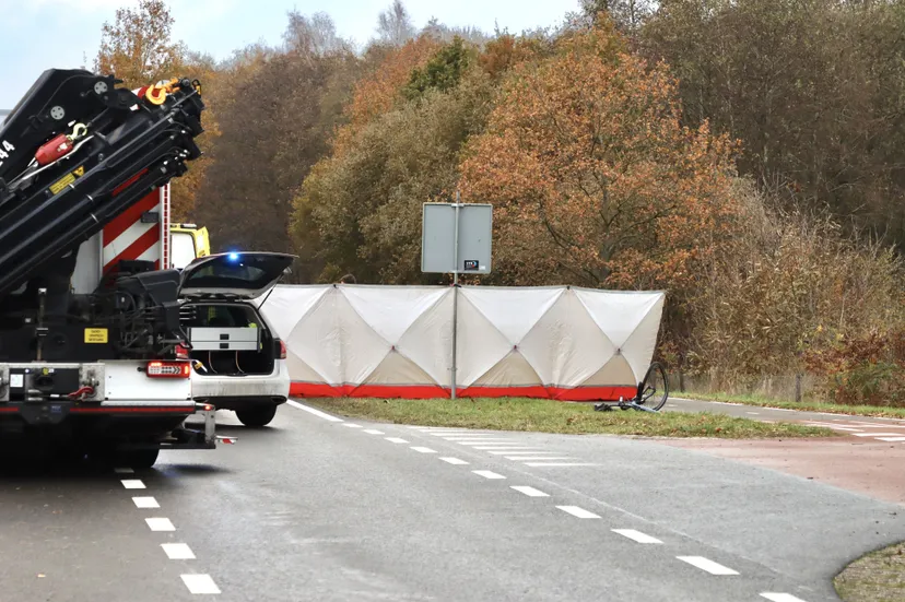 1c26f772 cf1a 4358 8d8b 59b75813576f