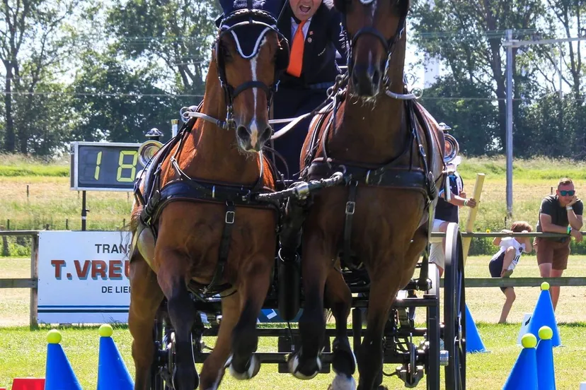 201085031 3933473816749514 5414671474995620582 n