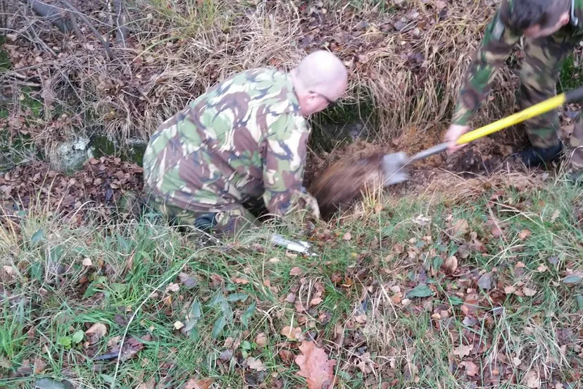 23331487 1484473184968969 5948062039266057760 o