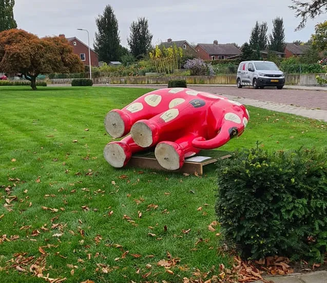 246034122 4462555207160742 1500698466600420558 n