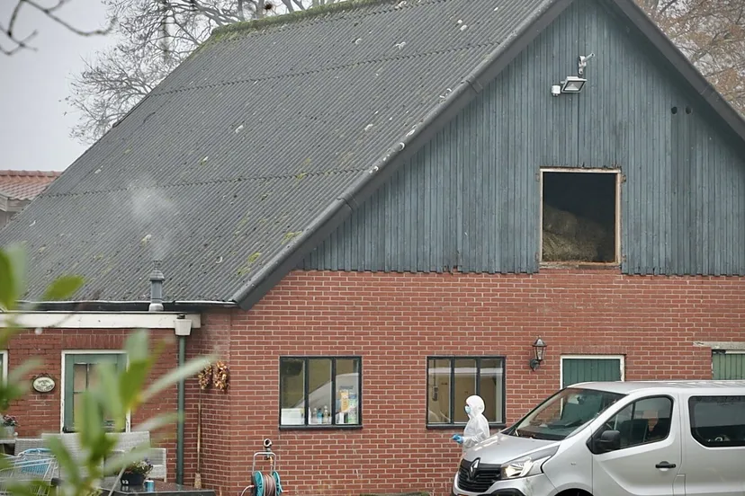 24fd1135 85e7 4247 beb9 6a846a3c91c7