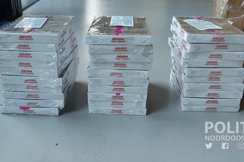 253555171 248537267306943 8755617267360775885 n