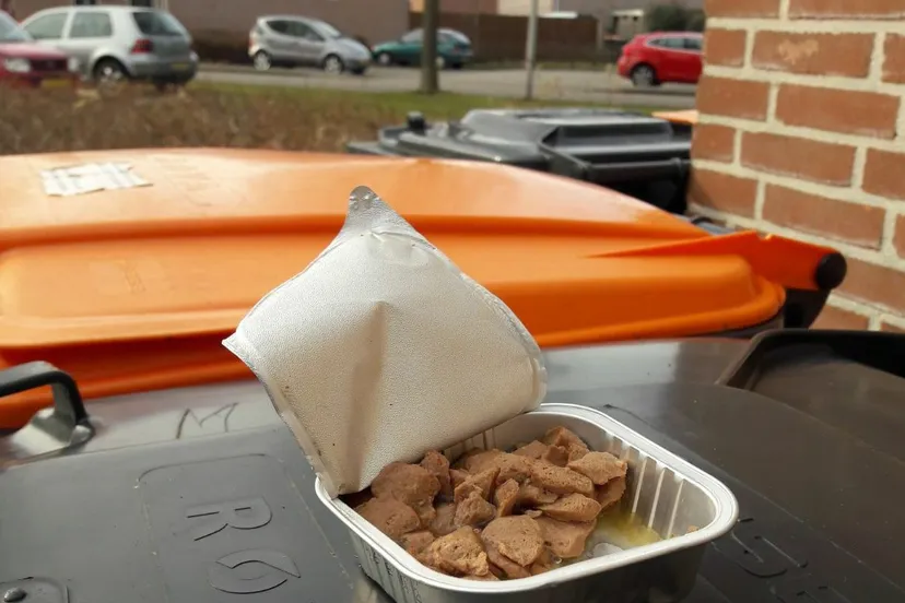 28336144 1598103196939300 4168503407527892266 o e1519135672978