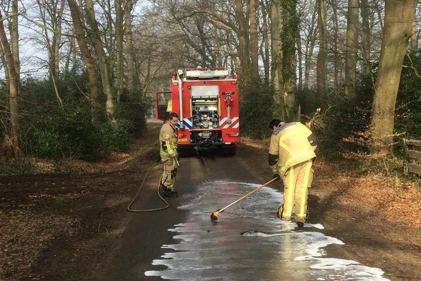 28619481 826790854172245 3298981898079683626 o e1520419877578