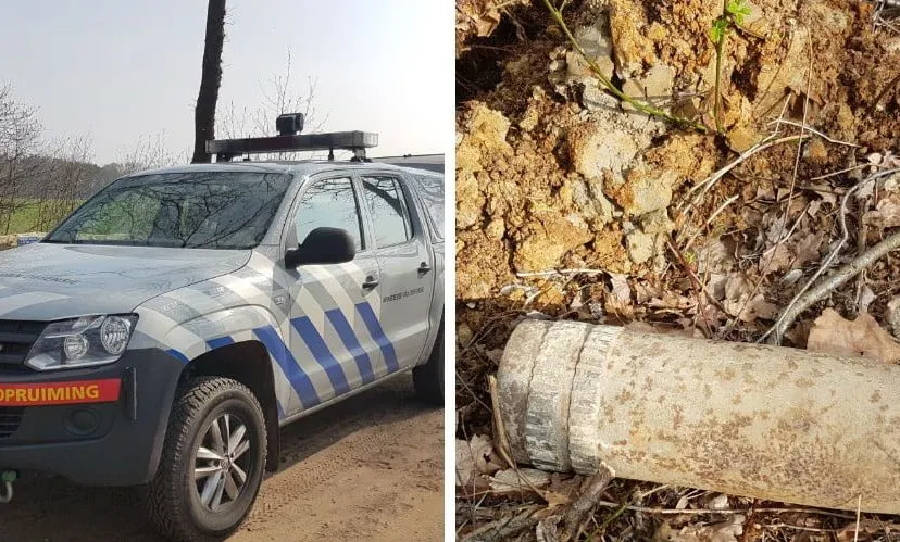 30581639 1653574511392168 8216171153329225728 o e1523376550934