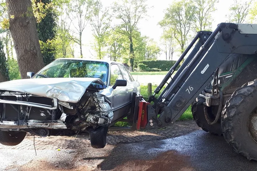 31239427 1668929473190005 3898014152077082624 o e1524819846143