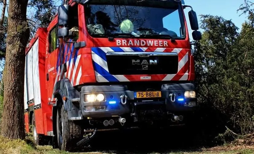 36578786 835186416674140 4217534631995506688 o e1530682084893