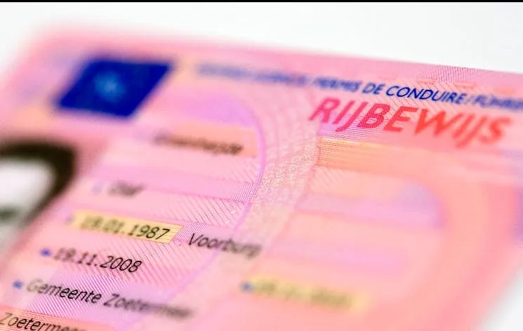 36580717 1744618078954477 1913833535857229824 n