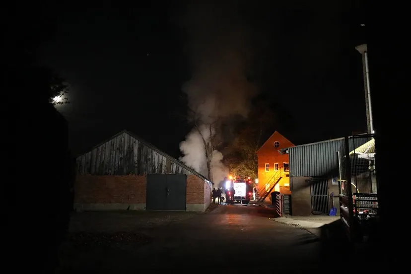 42020cdd 3806 4711 b0b5 9807b1090e8a