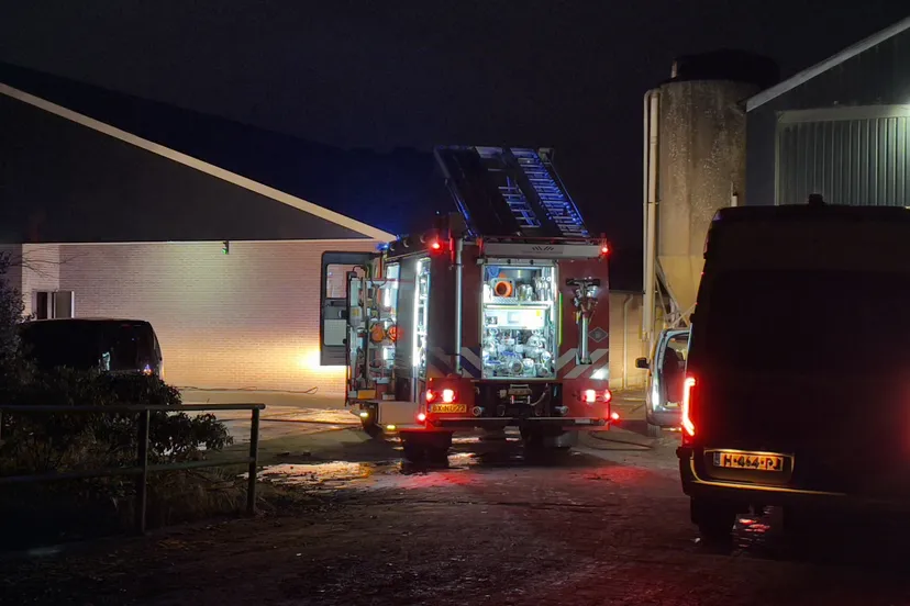 47729df6 3a3f 4c4e 8981 961464112cf3