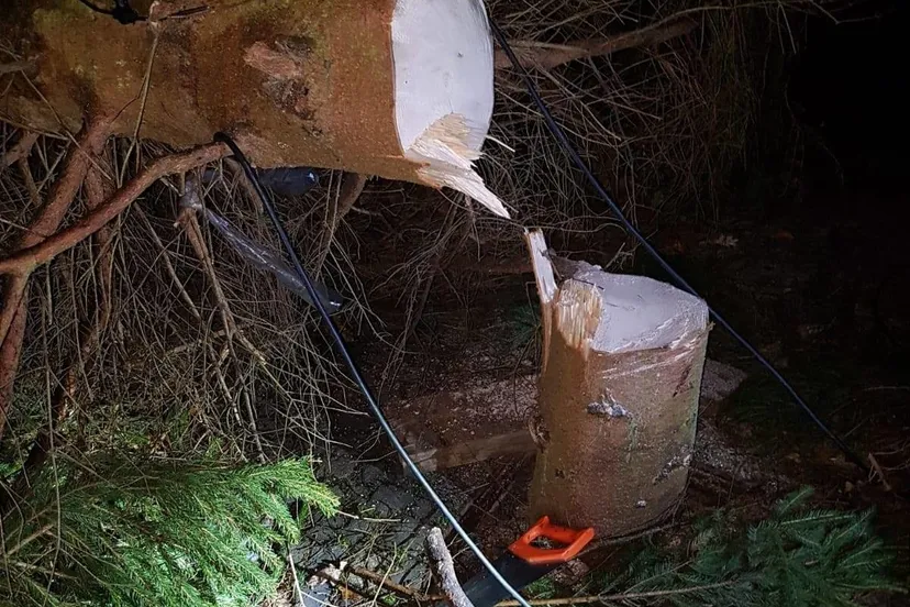 48411432 1983707911712158 6900120142210924544 o e1545555361417