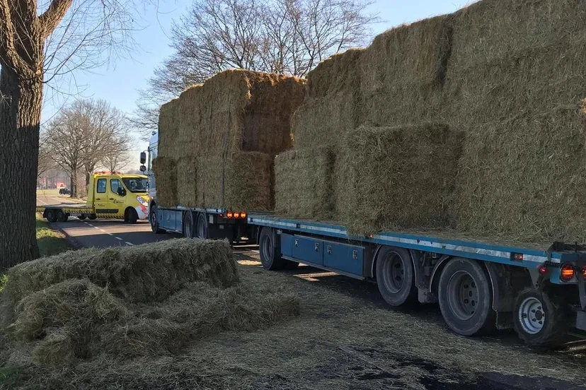 53374863 1060191820832146 3090368276736245760 o e1551286560950