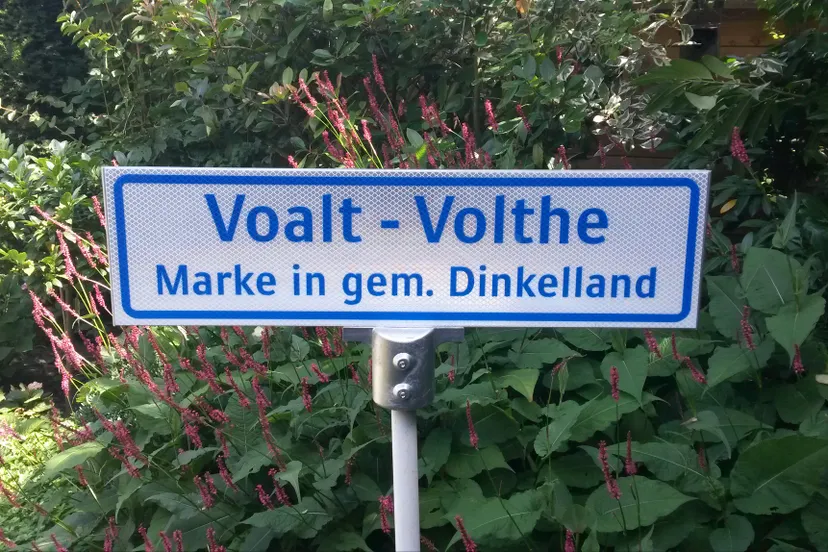 56454589 988143364725719 1703887545789579264 o