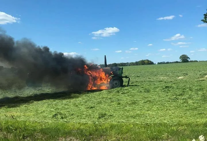 60397515 1687517481393594 3367244395739873280 n e1557760721194