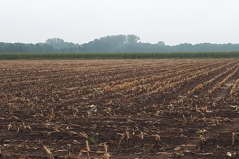 70711895 2458063090943302 7737587500201279488 o e1569315724839