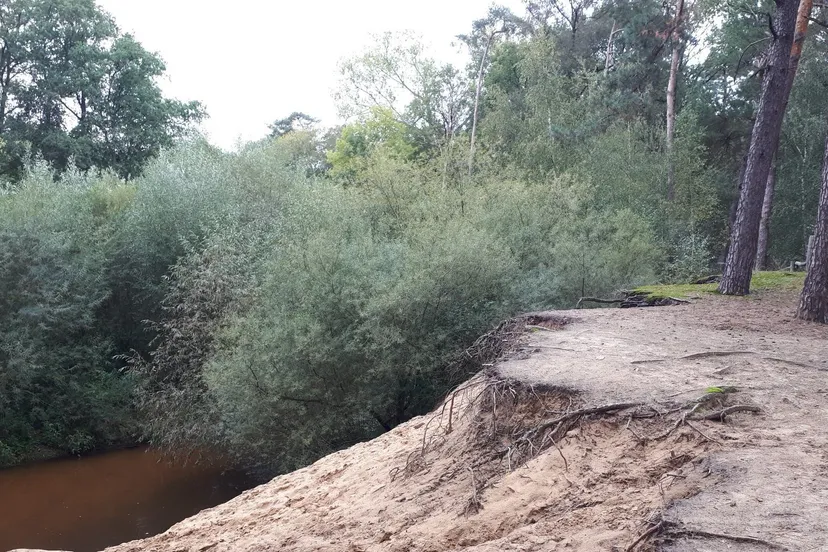 71933272 2487065451376399 9002880471851335680 o e1570371708429