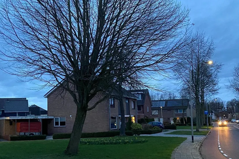 86719439 2012199655592040 832970909483532288 o e1581935666573