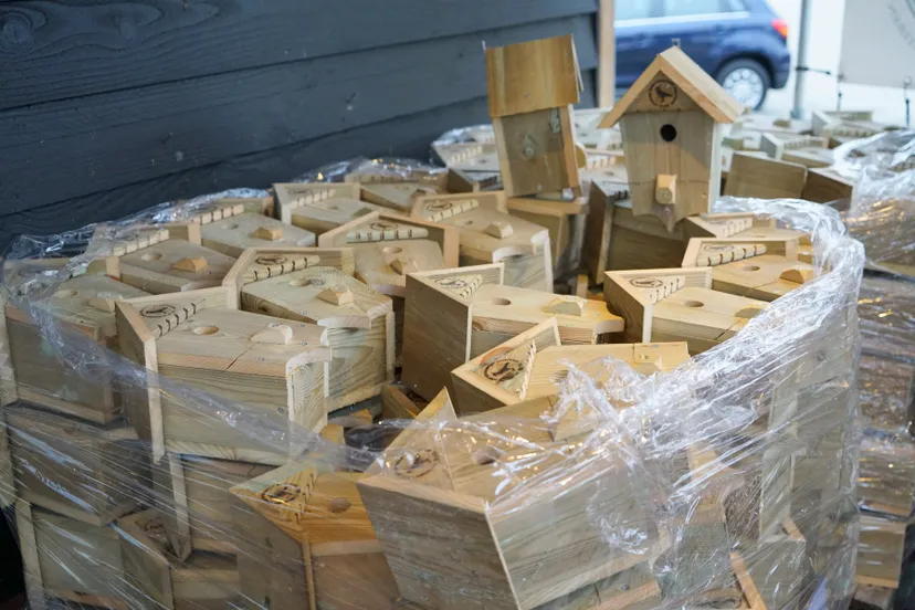 88346950 2816184521828164 4042143496365146112 o