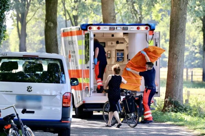 932df490 d128 4962 b3ff 0f4c513e17e8