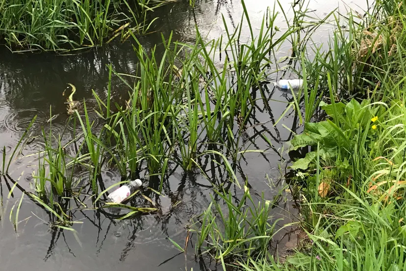 95706000 1127959154219262 1545167158214918144 o