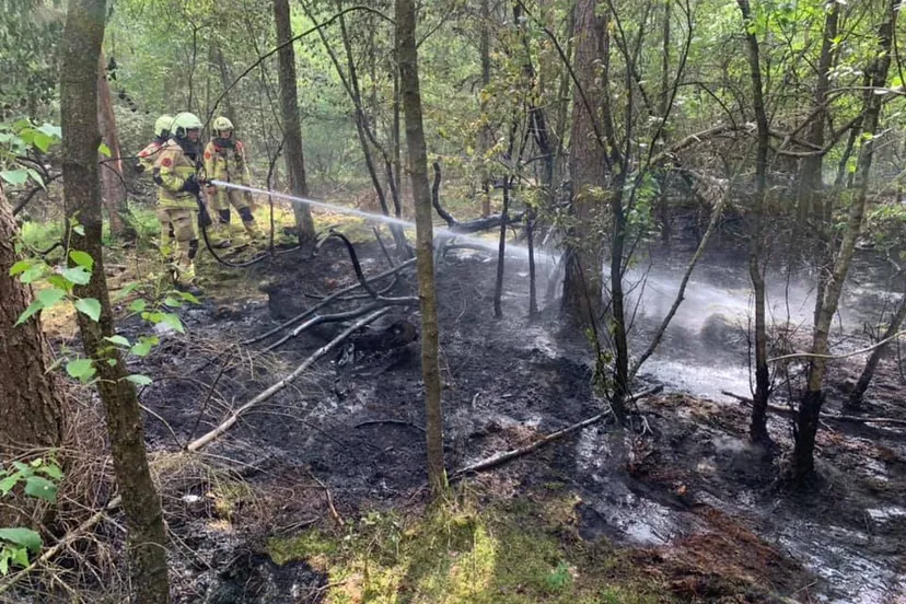 97428469 2108645535947451 1671085630714544128 n