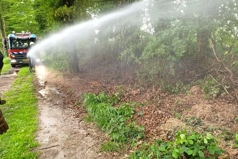 99425598 2530883857171950 218171264756350976 n