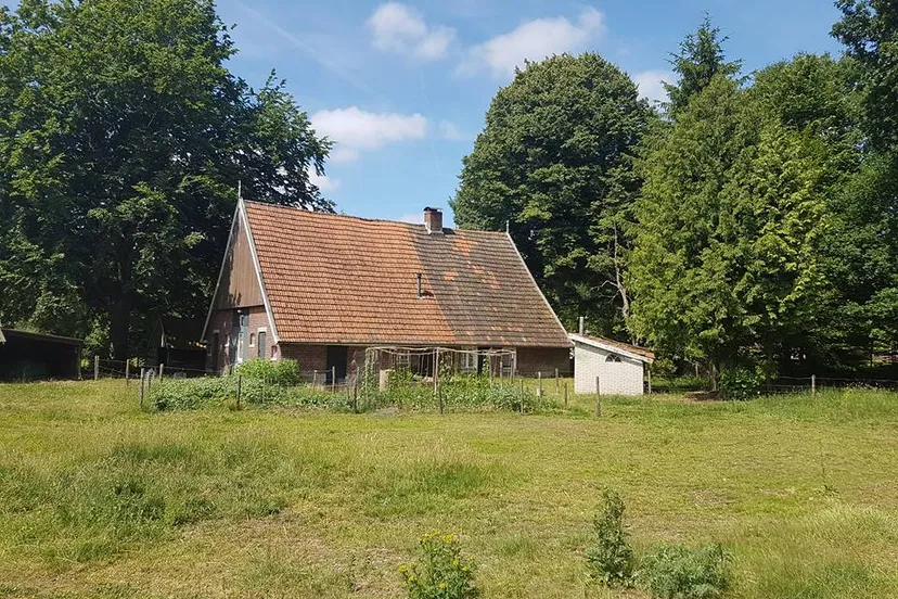 aveskamp in denekamp