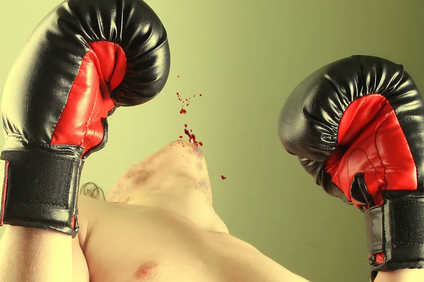 box fiasko 1488258 e1575376183650