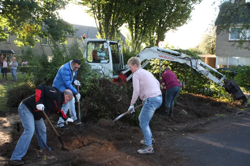 burendag de roerdomp denekamp