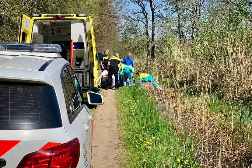 d35a86e5 d6d4 4f37 b09c 4c451d740adc