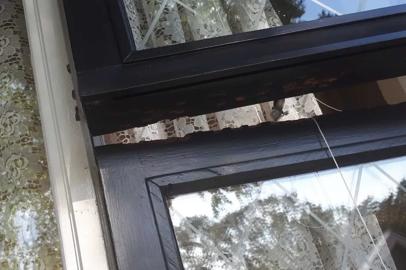 ejt9tiaxyaawa0i e1601628878578