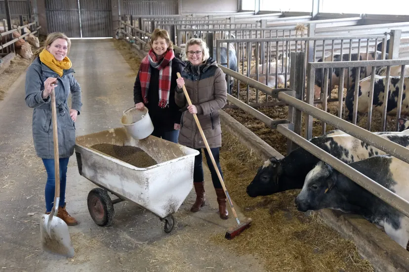 ervencoaches ursula armanda en martine e1551855655155