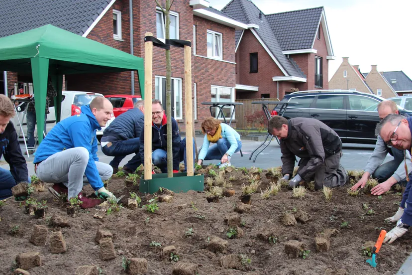 foto inplanten de beumer