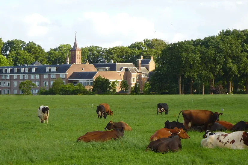 het klooster ligt verscholen in het groen met zicht op de omringende weilanden 2