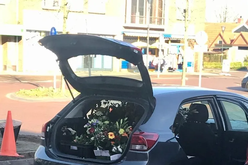 image 7 e1585392944669