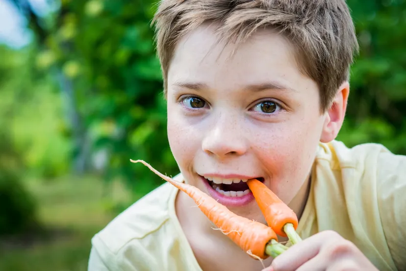 jle po jongen wortel